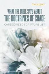 What the Bible Says About the Doctrines of Grace - Categorized Scripture List